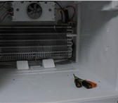 Фотография в Строительство и ремонт Сантехника (оборудование) Ремонт и сервисное обслуживание любого холодильного в Сочи 650