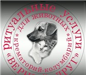 Изображение в Домашние животные Услуги для животных Кремация на общих основаниях;
Кремация индивидуальная в Томске 0