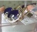 Фото в Одежда и обувь Разное Продаётся невероятной красоты кольцо и серьги в Люберцах 17 000