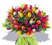 Foto в Домашние животные Растения Тюльпаны из Голландии, отличного качества! в Перми 25