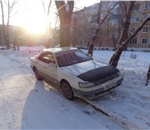 Камри променант 365322 Toyota Camry фото в Комсомольск-на-Амуре
