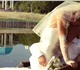 Видеосъемка свадеб ,венчаний,крестин,юби