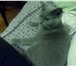 Foto в Домашние животные Вязка Молодой котик смесь британца с тайской ищет в Саратове 0
