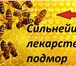 Foto в Красота и здоровье Товары для здоровья Настойка подмора рекомендуется для употребления в Кемерово 250