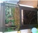 Foto в Домашние животные Рыбки Аквариум "панорамный" на 70 литров с родной в Магнитогорске 0
