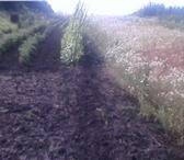 Фотография в Недвижимость Земельные участки Срочно! Собственник (Свидетельство). Продаю в Краснодаре 600 000