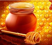 Фото в Прочее,  разное Разное СТАНЬ УЧАСТНИКОМ ПРОГРАММЫ, И ВЫ ПОЛУЧИТЕ в Нижнем Новгороде 650