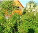 Foto в Недвижимость Продажа домов Продам дом с участком 12 сот. в дачном посёлке в Калуге 110 000