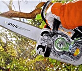 Фото в Прочее,  разное Разное Дерево: валка, спил, распил, обрезка, корчевание, в Орле 250