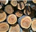 Фото в Прочее,  разное Разное дрова из смешенного леса по 1100 за 1м3дрова в Ханты-Мансийск 1 100