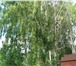 Фото в Недвижимость Сады сад.насаждения:яблони,сливы,жимолость,смородина. в Екатеринбурге 400 000
