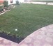 Фотография в Строительство и ремонт Ландшафтный дизайн Здоровый и ухоженный газон, украшает сад, в Пензе 300