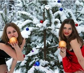 Фото в Развлечения и досуг Организация праздников Свадьбы, новогодние корпоративы, юбилеи, в Белгороде 3 000