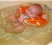 Фото в Для детей Товары для новорожденных Продам круг для купания Baby Swimmer,  подходит в Оренбурге 380