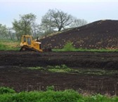 Фото в Прочее,  разное Разное Чернозем,доставка КАМАЗом от 10 до 15т. в Саратове 0