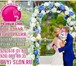 Фотография в Развлечения и досуг Организация праздников Свадебный баннер и Press Wall на свадьбу в Солнечногорск 1 000