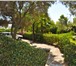 Фотография в Недвижимость Зарубежная недвижимость На Сардинии продается усадьба с большим парком, в Уфе 0