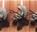 Foto в Для детей Детские коляски В комплекте с коляской:- сумка для мамы;- в Москве 15 000