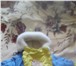 Изображение в Для детей Детская одежда комбинезон -трансформер. в очень хорошем в Пскове 1 500