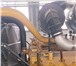 Фотография в Прочее,  разное Разное Продам двигатель Caterpillar C27(новый). в Белгороде 10 500 000