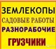 Молодые, ответственные, исполнительные и