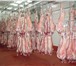Изображение в Прочее,  разное Разное Экологически чистое, свежее мясо. Откорм в Москве 200