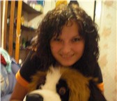 Фотография в Недвижимость Аренда жилья Сниму однокомнатную квартиру, за 5-6тыс.БЕЗ в Уфе 6 000