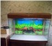Фотография в Домашние животные Рыбки Аквариум JEBO NEW R-390: - крышка аквариума в Пензе 10 000