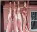 Фото в Прочее,  разное Разное Наша компания поставляет мясо - молочную в Москве 204