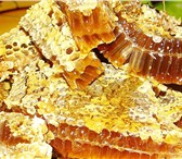 Фото в Прочее,  разное Разное Продам мёд цветок+подсолнух, урожай 2014, в Казани 0