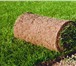 Изображение в Строительство и ремонт Разное Посев газона с подготовкой основания – снятие в Красноярске 150