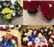 Фото в Развлечения и досуг Организация праздников У нас Вы всегда сможете купить красивые цветы в Москве 0