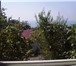 Foto в Недвижимость Аренда жилья Сдам домик с видом на море,сад .отдельный в Сочи 18 000