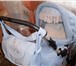 Фото в Для детей Детские коляски Продается коляска трансформер Tako зима-лето в Саратове 5 000