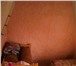 Foto в Недвижимость Продажа домов Отдаем с мебелью, 3 комнаты от хозяина. В в Перми 915 000