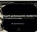 Foto в Домашние животные Услуги для животных Индивидуальная кремация домашних животных в Москве 4 000