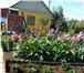Фотография в Недвижимость Сады Продам ухоженный сад «Сказка» в садовом товариществе в Магнитогорске 430 000