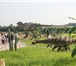 Foto в Отдых и путешествия Туры, путевки Парк динозавров ждет вас!Мы приглашаем вас в Ярославле 2 400