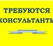Фото в Работа Работа для студентов Требуется консультант. Работа информационного в Москве 17 000