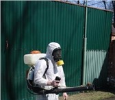 Foto в Прочее,  разное Разное ДЕЗИНСЕКЦИЯ-ДЕЗИНФЕКЦИЯ:любых помещений(складов,баз,общежитий, в Магнитогорске 800