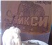 Изображение в Хобби и увлечения Коллекционирование Поделка из мамонтовой кости ручной работы, в Мурманске 65 000