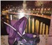 Изображение в Для детей Детские коляски фиолетовая,в комплекте носилка для вещей,подстешка в Улан-Удэ 2 300