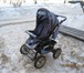Изображение в Для детей Детские коляски Продам коляску-трансформер фирма TEMA,  цвет в Пушкино 3 500