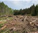Изображение в Работа Вакансии Компании ООО "Уренгой Транспромстрой" требуются в Кемерово 90 000