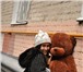 Изображение в Для детей Детские игрушки Продается большой плюшевый мишка Тема, новый в Москве 1 990