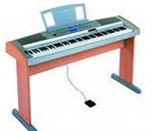 Изображение в Электроника и техника Разное Cинтезатор Yamaha DGX-505 имеет 88 клавиш в Ижевске 15 000