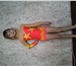 Изображение в Спорт Спортивная одежда продам купальник для худ.гимнастики рост в Тюмени 5 000