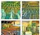 Предлагается бывшая в употреблении линия