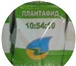 Фото в Домашние животные Растения Плантафид, по Евростандарту, относится к в Тольятти 500