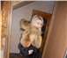 Фотография в Одежда и обувь Женская одежда Продам новый полушубок из меха лисы ( верх) в Калининграде 25 000
